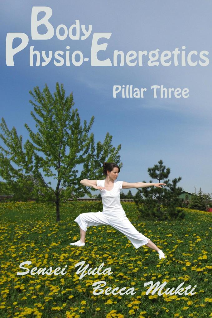 Body Physio-Energetics: Pillar Three