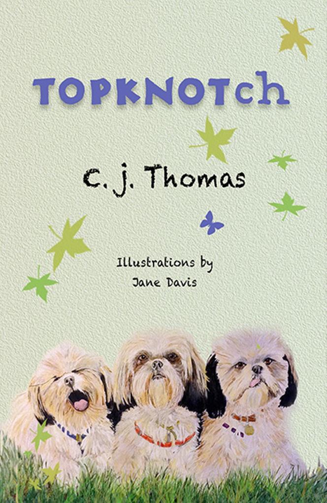 TopKnotch