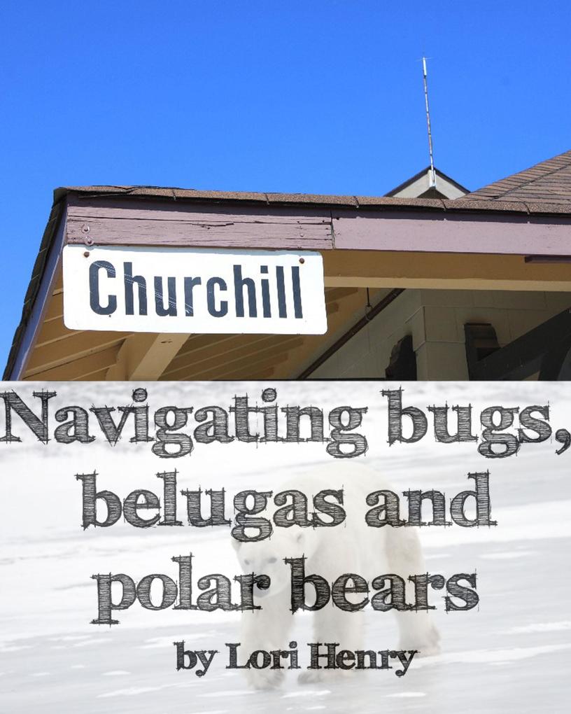 Navigating bugs belugas and polar bears in Churchill Canada