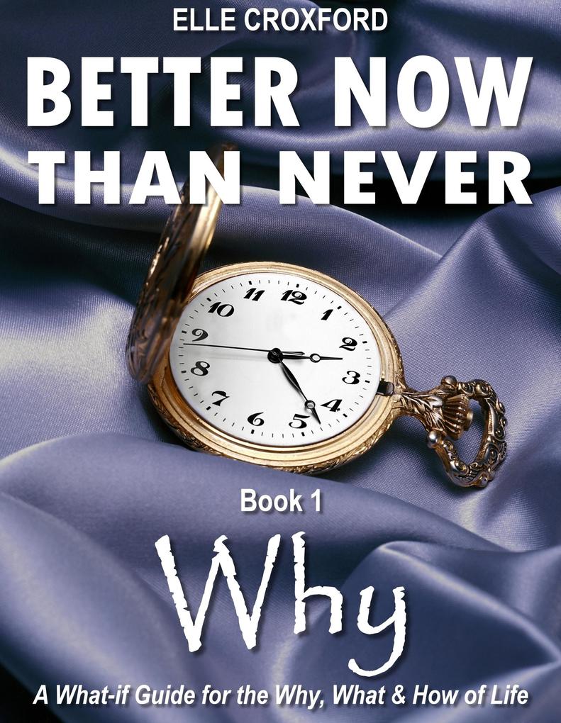 Better Now Than Never: Book 1 Why