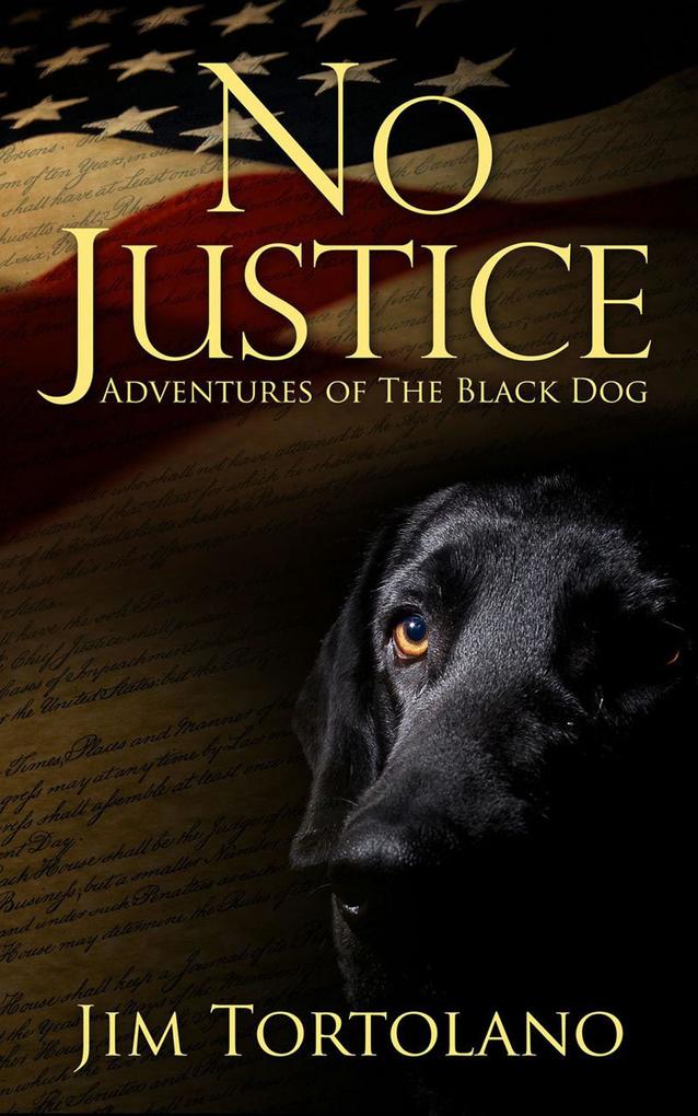 No Justice: Adventures of the Black Dog
