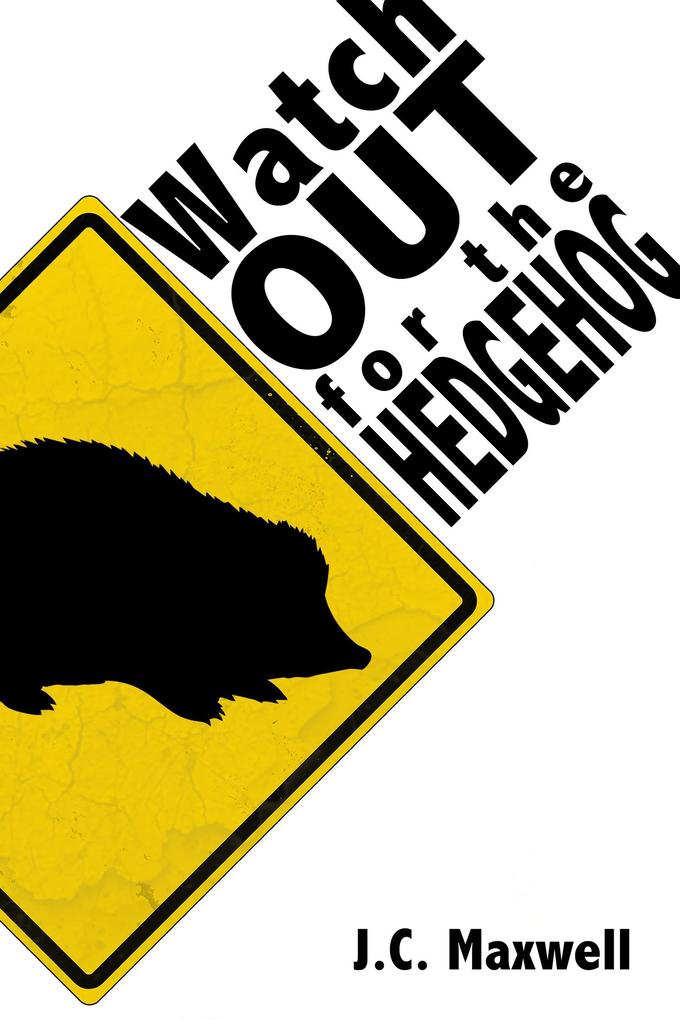 Watch Out For The Hedgehog