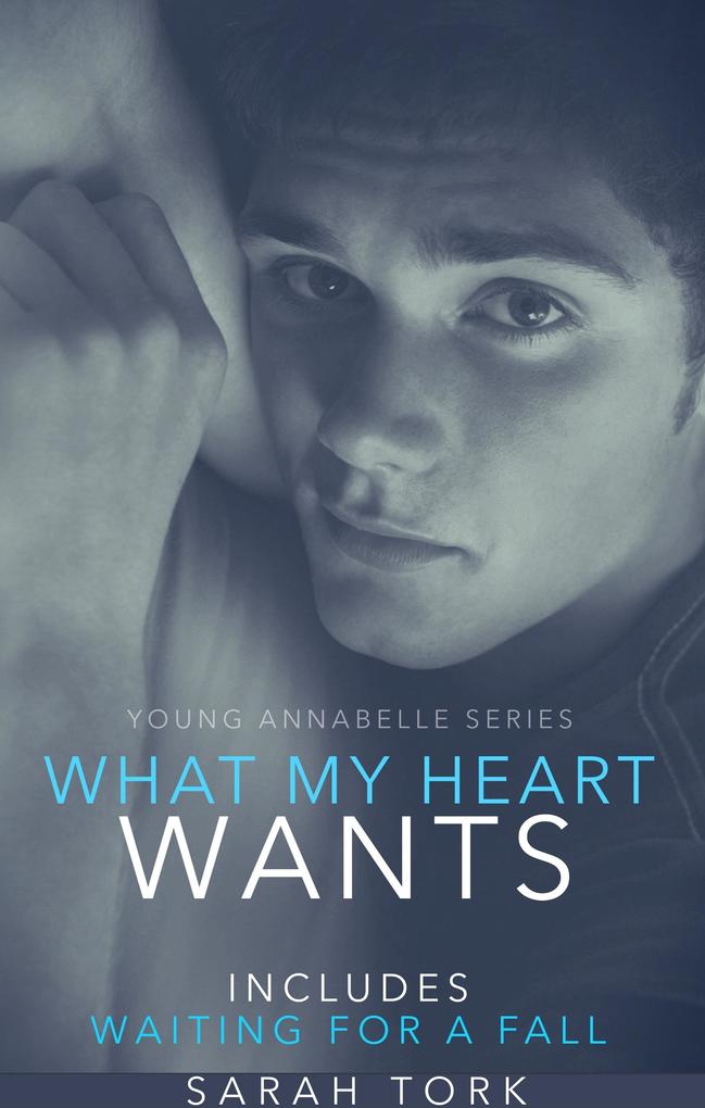 What My Heart Wants (Y.A Series Book 3)