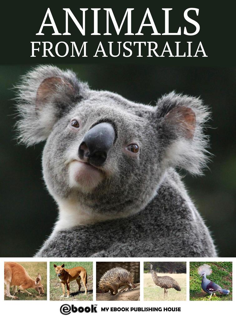 Animals from Australia