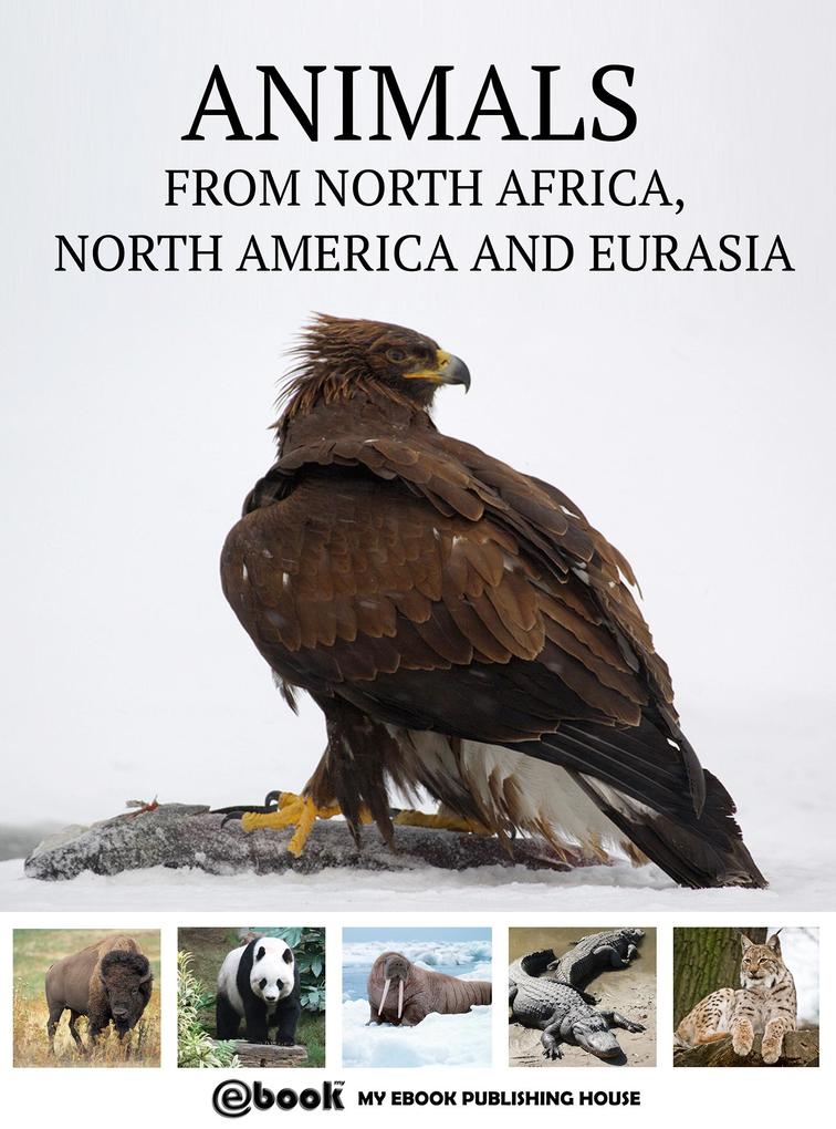 Animals from North Africa North America and Eurasia