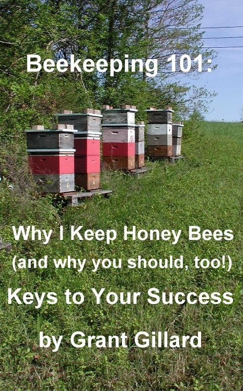 Beekeeping 101: Why I Keep Honey Bees (and why you should too!)