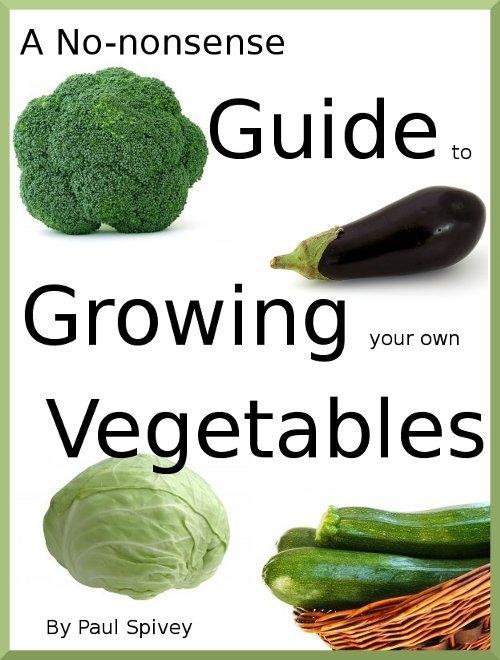No-nonsense Guide to Growing your own Vegetables