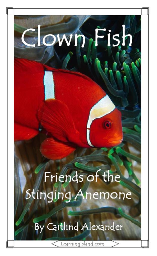 Clown Fish: Friends of the Stinging Anemone