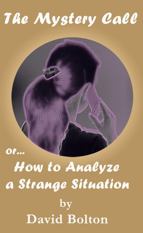 Mystery Call or How to Analyze a Strange Situation