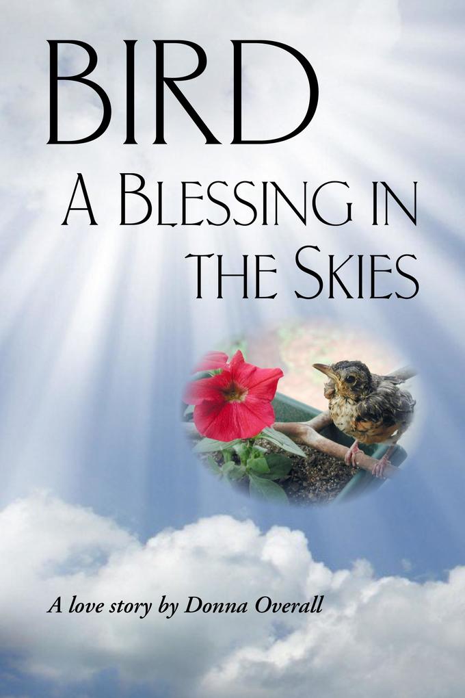 Bird: A Blessing in the Skies