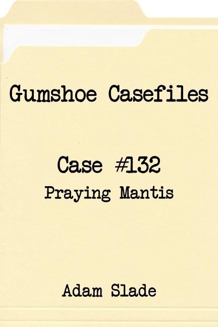 Gumshoe Casefiles: Case 132
