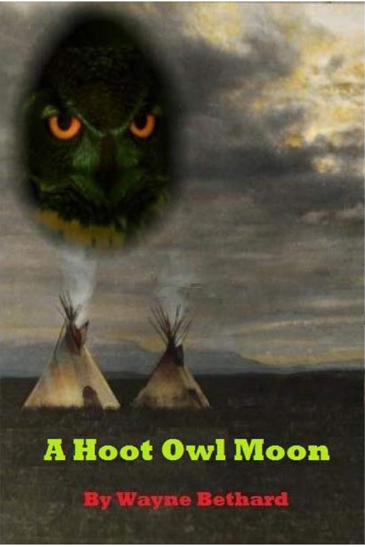 Hoot Owl Moon