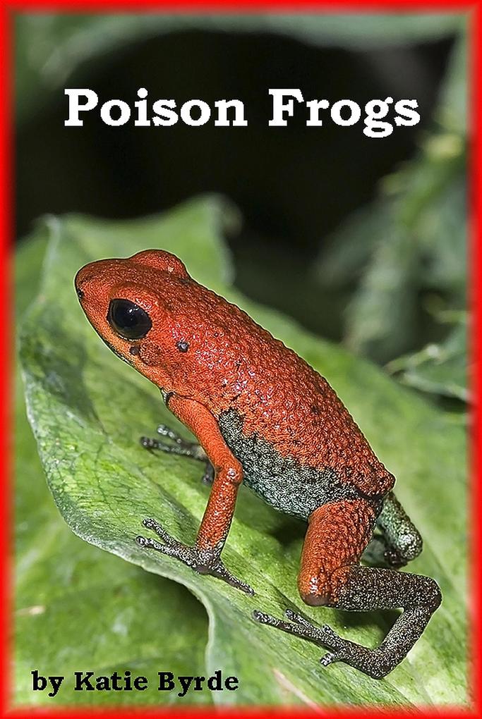 Poison Frogs