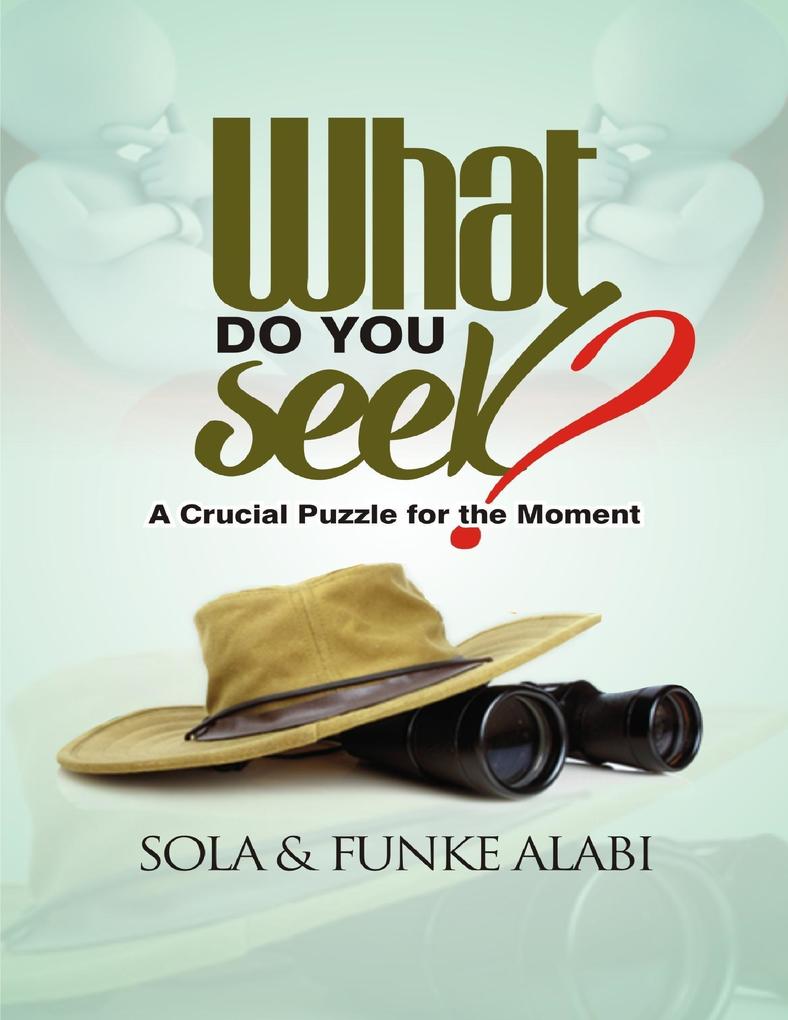 What Do You Seek? : A Crucial Puzzle for the Moment
