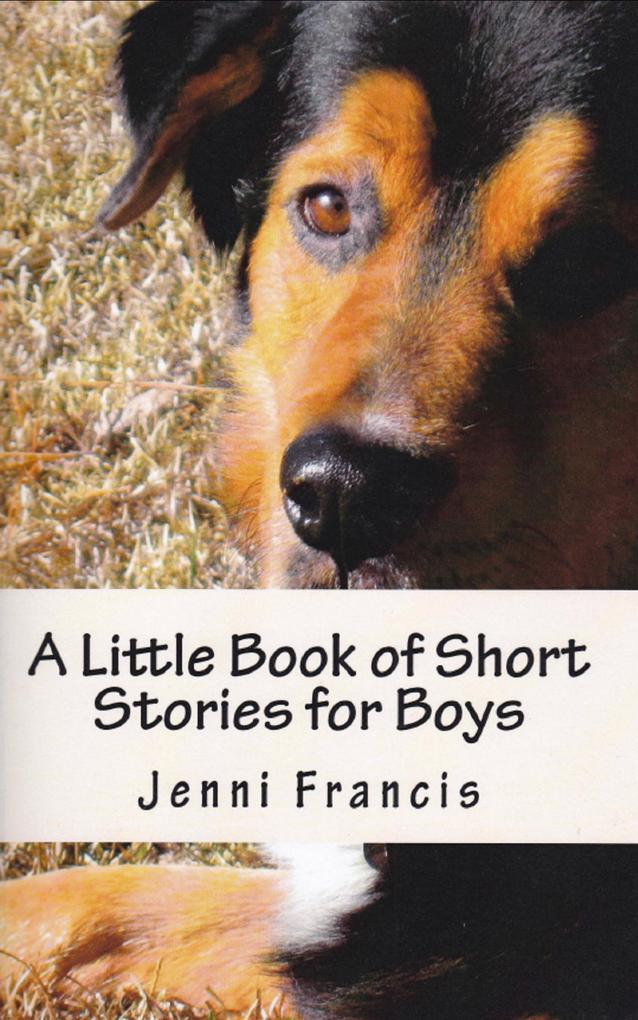 Little Book of Short Stories for Boys