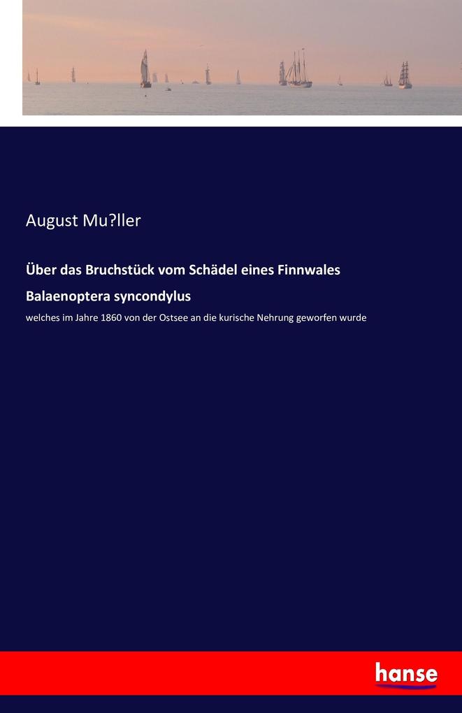 Image of Über das Bruchstück vom Schädel eines Finnwales Balaenoptera syncondylus