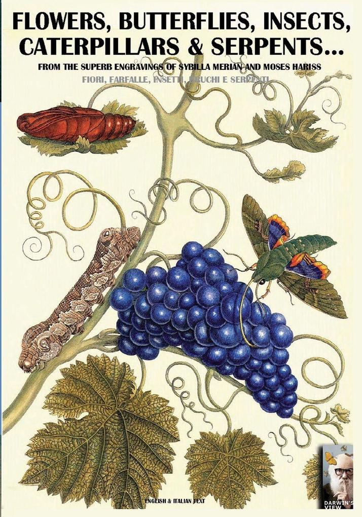 flowers butterflies insects caterpillars & serpents...