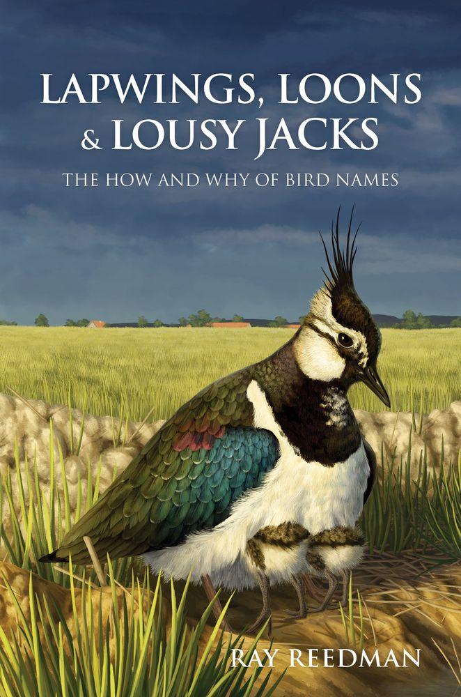 Lapwings Loons and Lousy Jacks