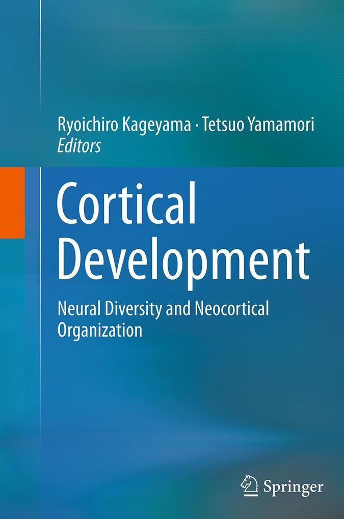 Cortical Development