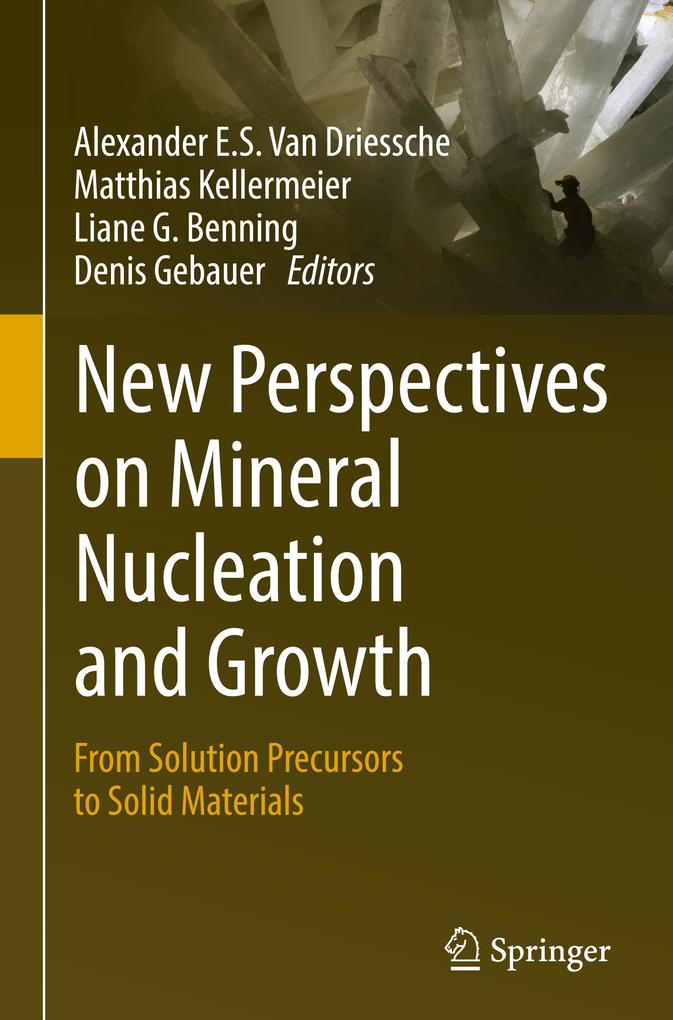 New Perspectives on Mineral Nucleation and Growth