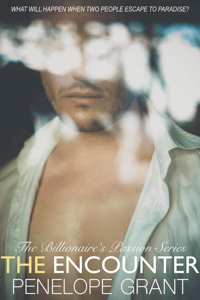 The Encounter (The Billionaire's Passion Series #1)