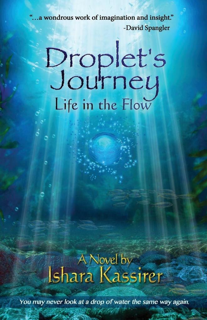 Droplet's Journey