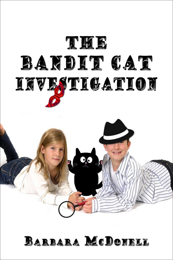 Bandit Cat Investigation