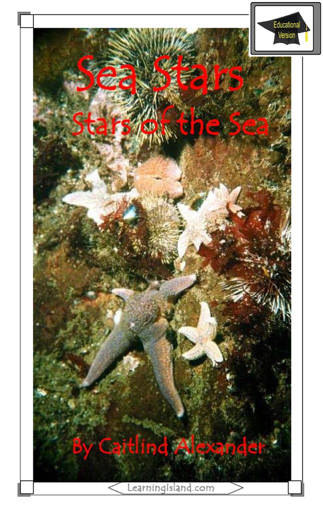 Sea Stars: Stars of the Sea: Educational Version