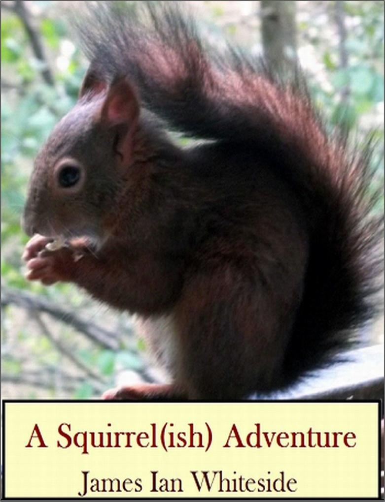 Squirrel (ish) Adventure