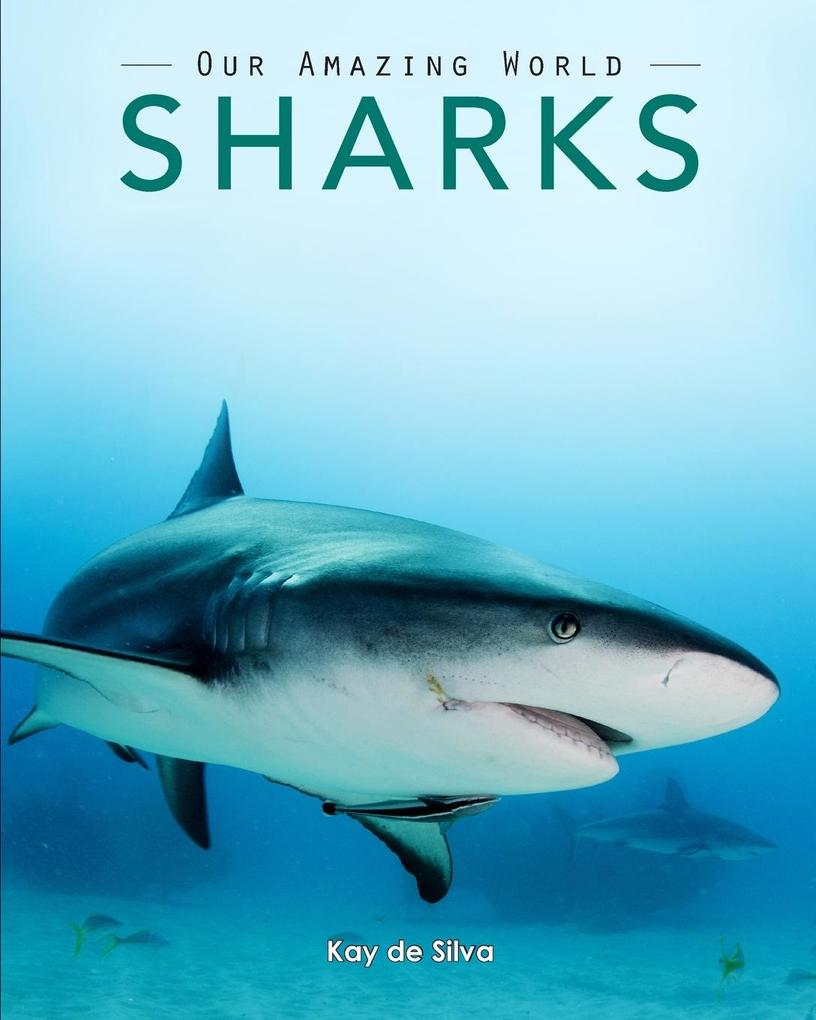 Sharks: Amazing Pictures & Fun Facts on Animals in Nature