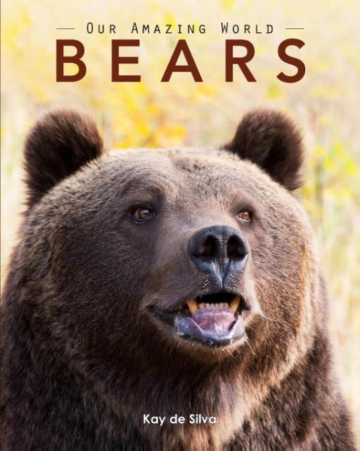 Bears: Amazing Pictures & Fun Facts on Animals in Nature
