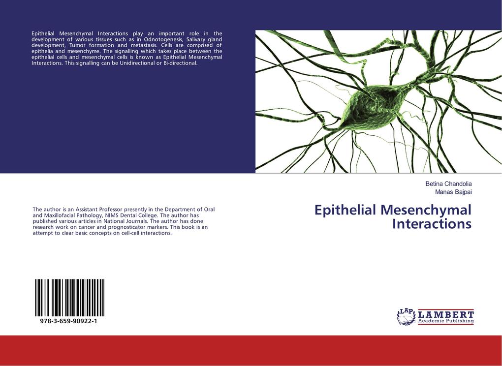 Epithelial Mesenchymal Interactions
