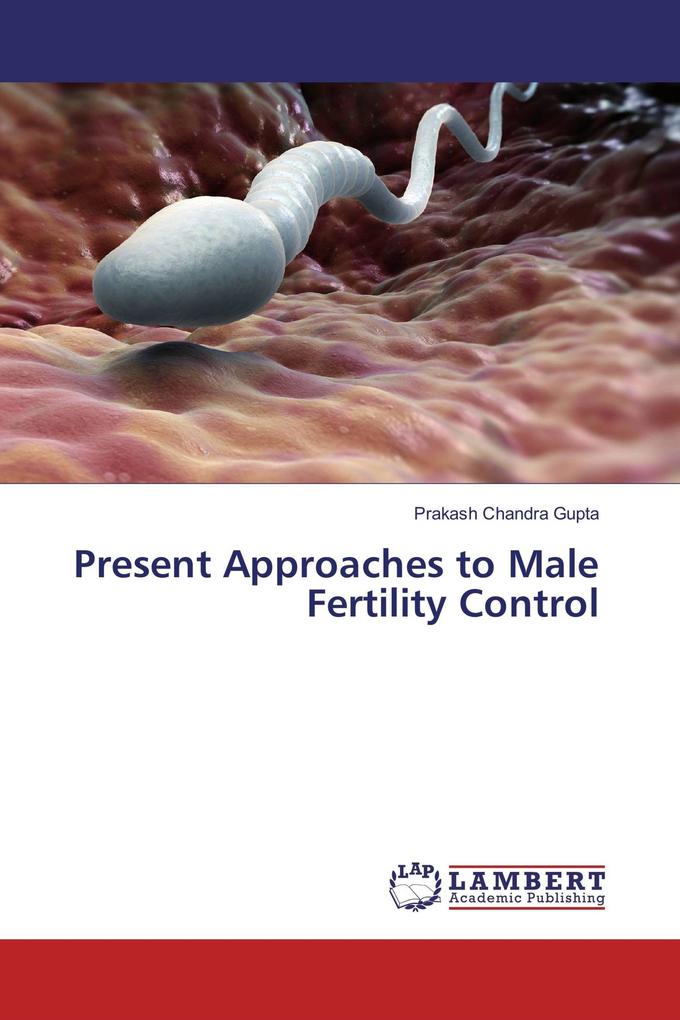 Present Approaches to Male Fertility Control