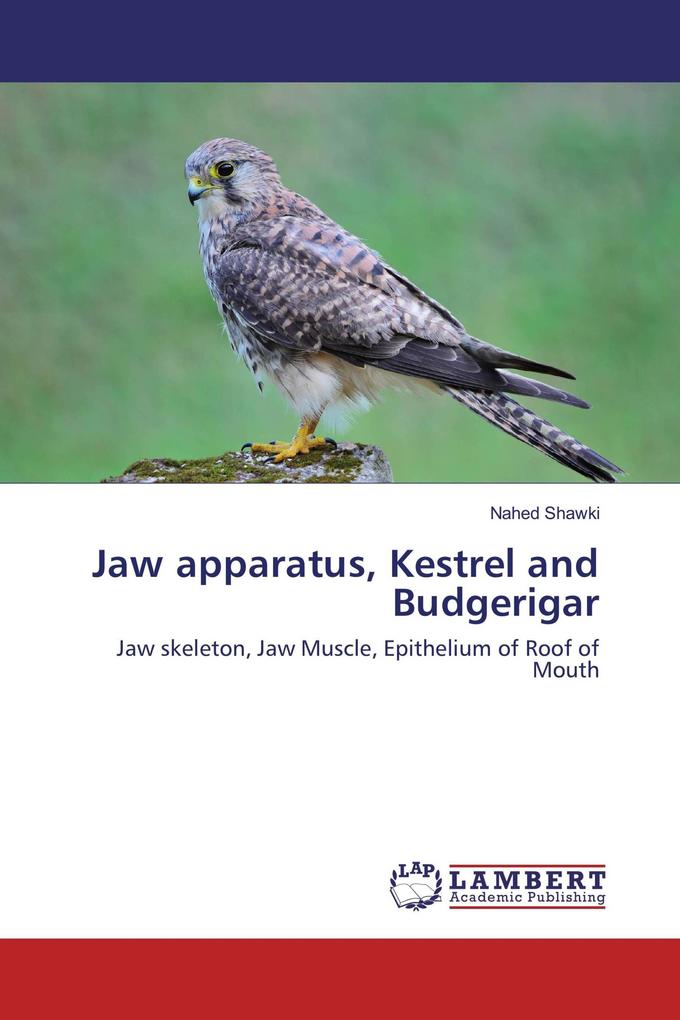 Jaw apparatus Kestrel and Budgerigar