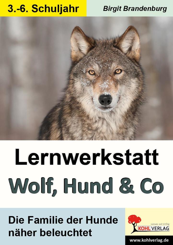 Lernwerkstatt Wolf Hund & Co