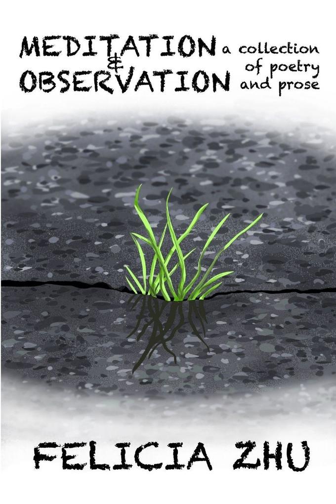 Meditation and Observation