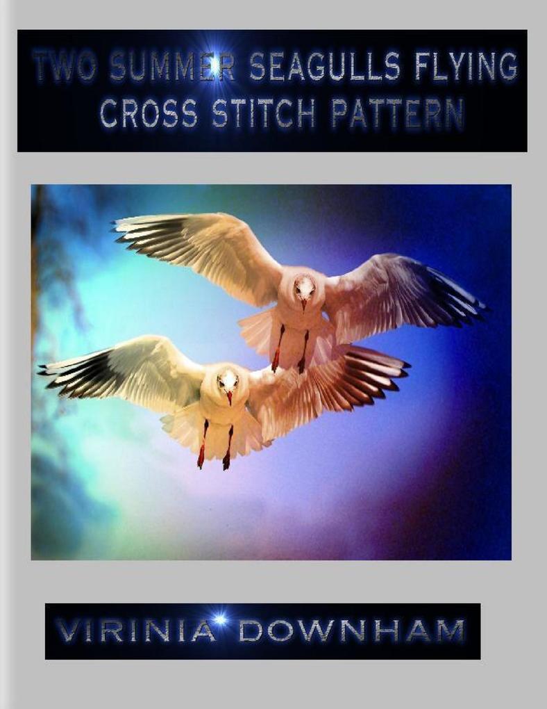 Two Summer Seagulls Flying Cross Stitch Pattern