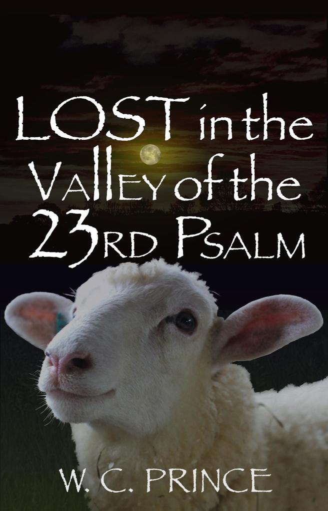 LOST in the Valley of the 23rd Psalm