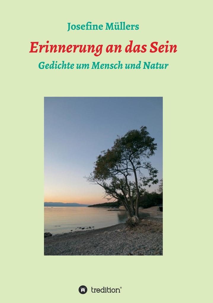 Image of Erinnerung an das Sein