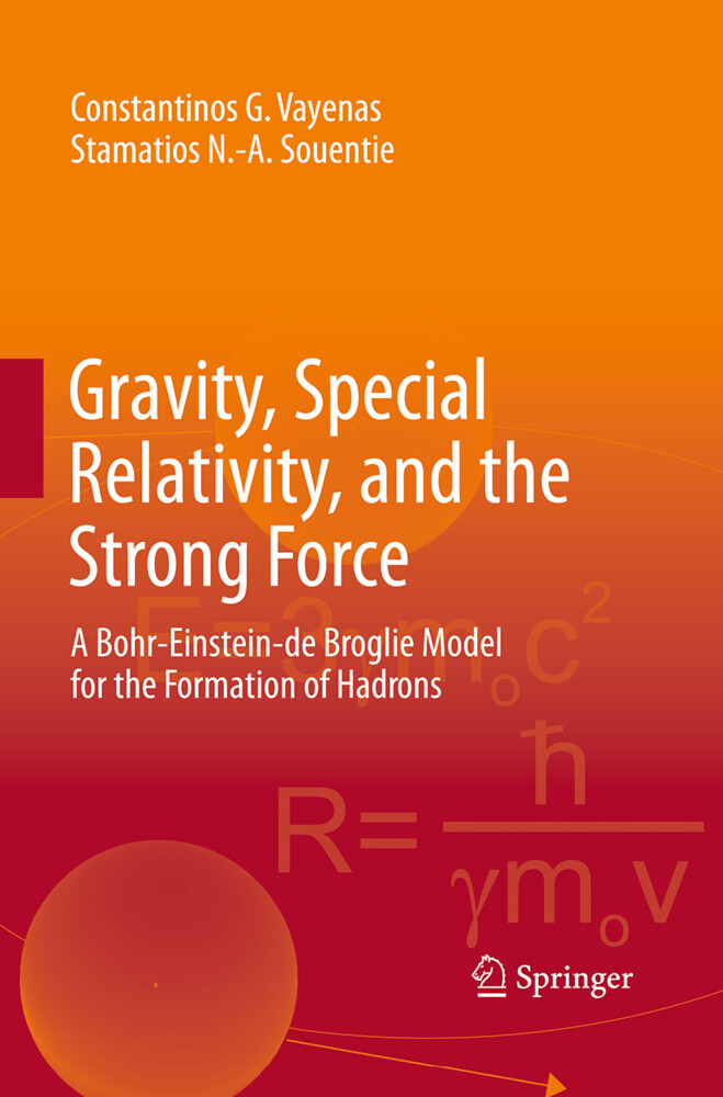 Gravity Special Relativity and the Strong Force