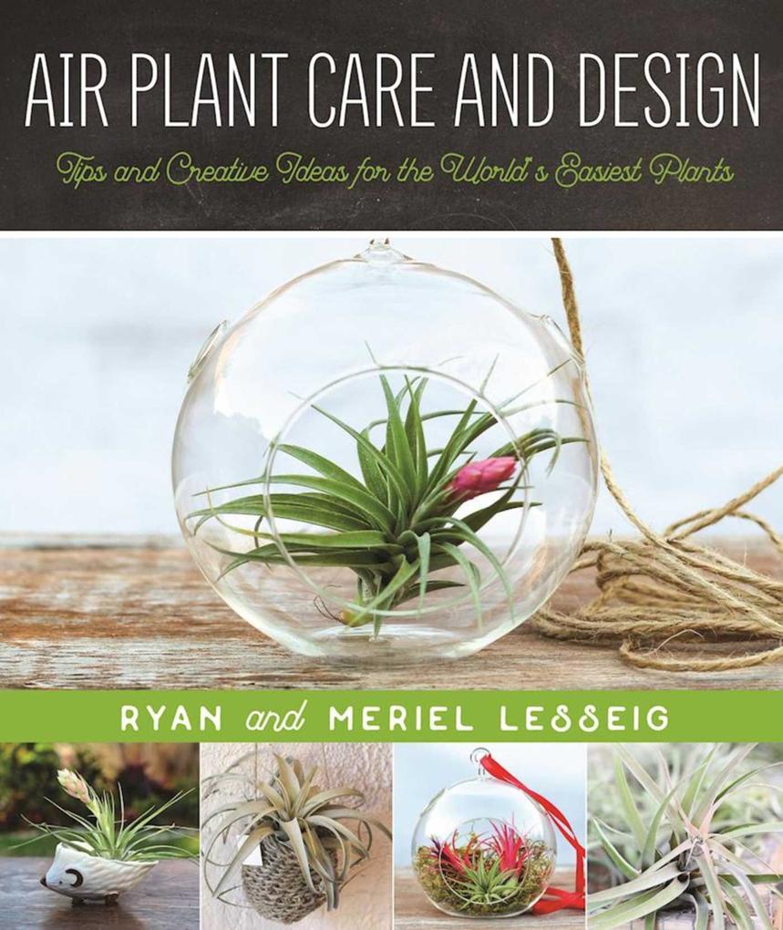 Air Plant Care and 