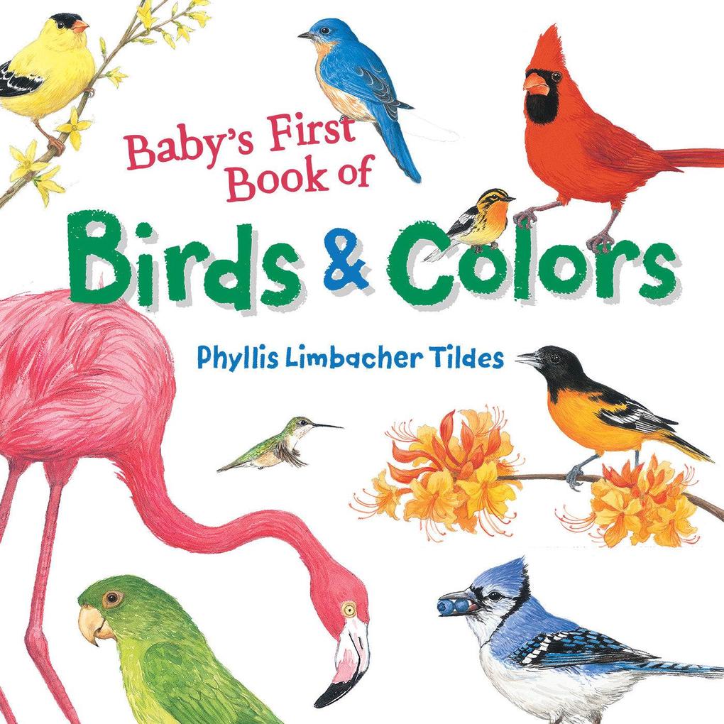 Baby‘s First Book of Birds & Colors