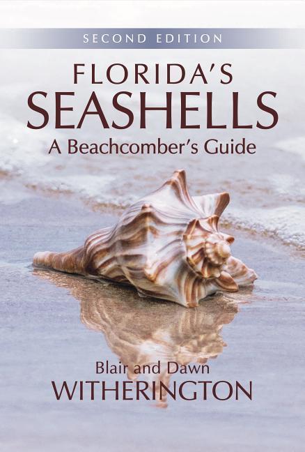 Florida‘s Seashells: A Beachcomber‘s Guide