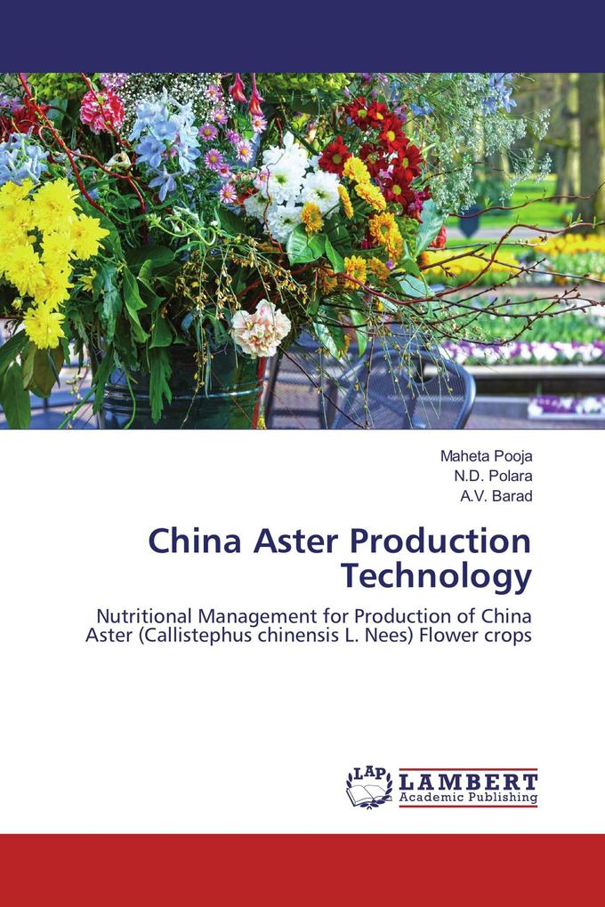 China Aster Production Technology