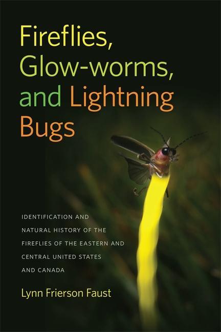 Fireflies Glow-Worms and Lightning Bugs