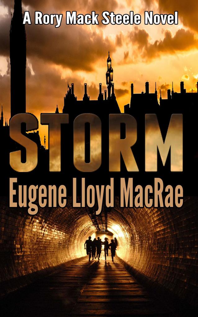 Storm (A Rory Mack Steele Novel #2)