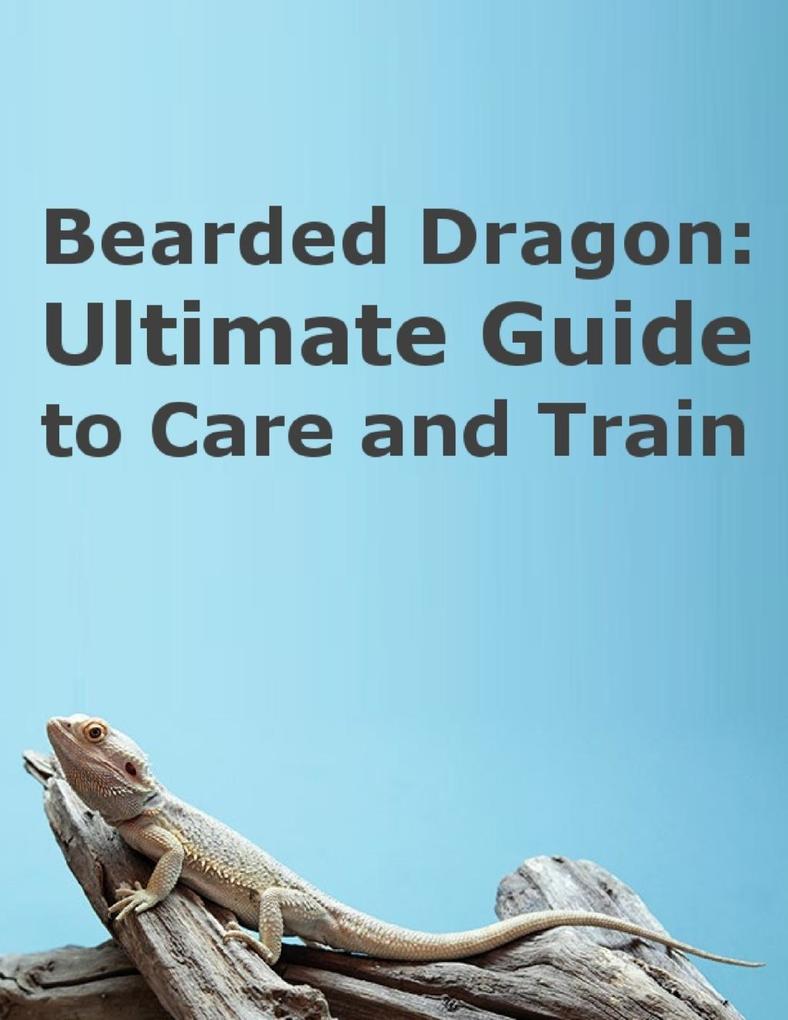 Bearded Dragon: Ultimate Guide to Care and Train