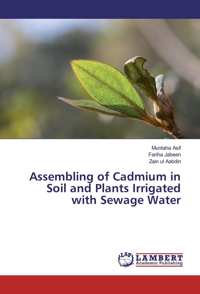 Assembling of Cadmium in Soil and Plants Irrigated with Sewage Water