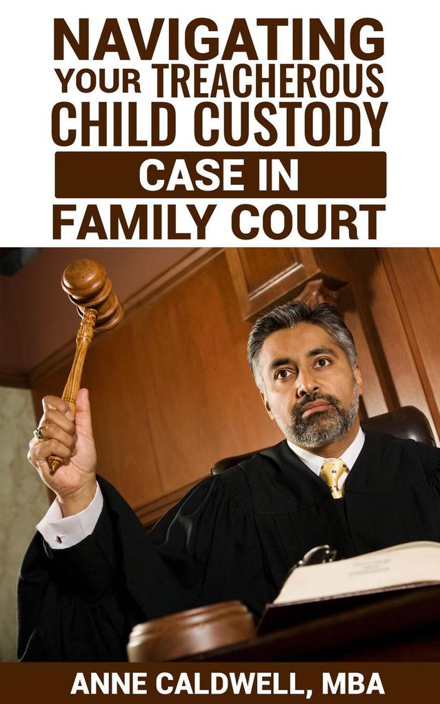 Navigating Your Treacherous Child Custody Case in Family Court
