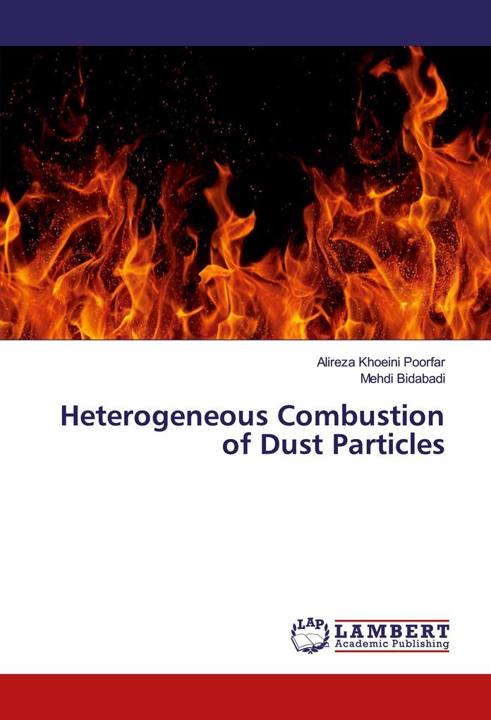 Heterogeneous Combustion of Dust Particles